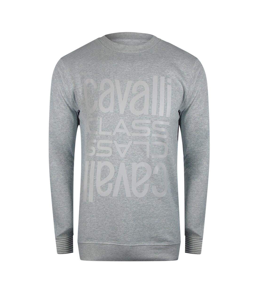 Unisex Adult Logo Round Neck Sweatshirt Grey Cavalli Class-1
