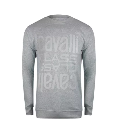 Unisex Adult Logo Round Neck Sweatshirt Grey Cavalli Class