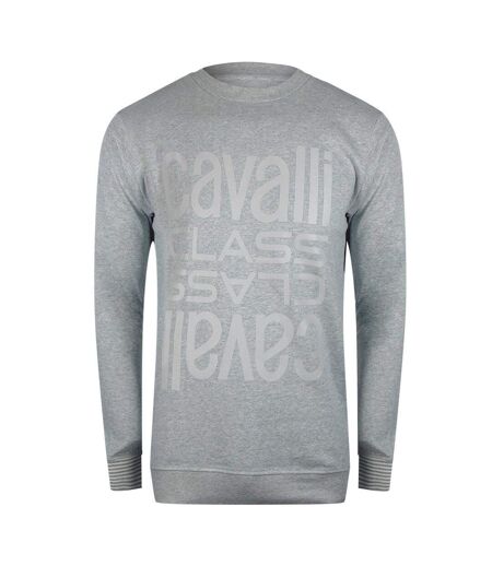 Unisex Adult Logo Round Neck Sweatshirt Grey Cavalli Class