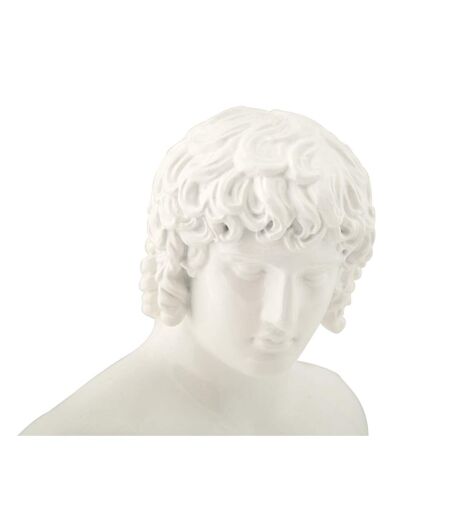 Buste Homme en Résine Centurion 25cm Blanc