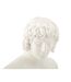 Buste Homme en Résine Centurion 25cm Blanc-3