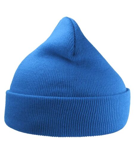 Unisex Adult Wind Recycled Cuffed Beanie Sapphire Atlantis