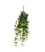 Tige Lierre Artificiel Tria 85cm Vert-1