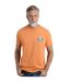 Mens land and sea graphic back print t-shirt pumpkin Weird Fish-4