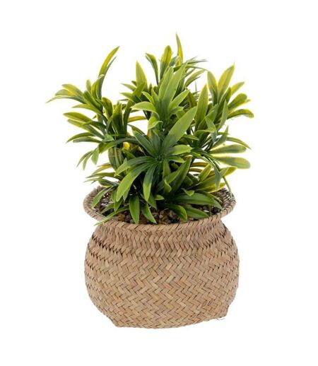 Plante Artificielle en Pot Jiling 20cm Beige