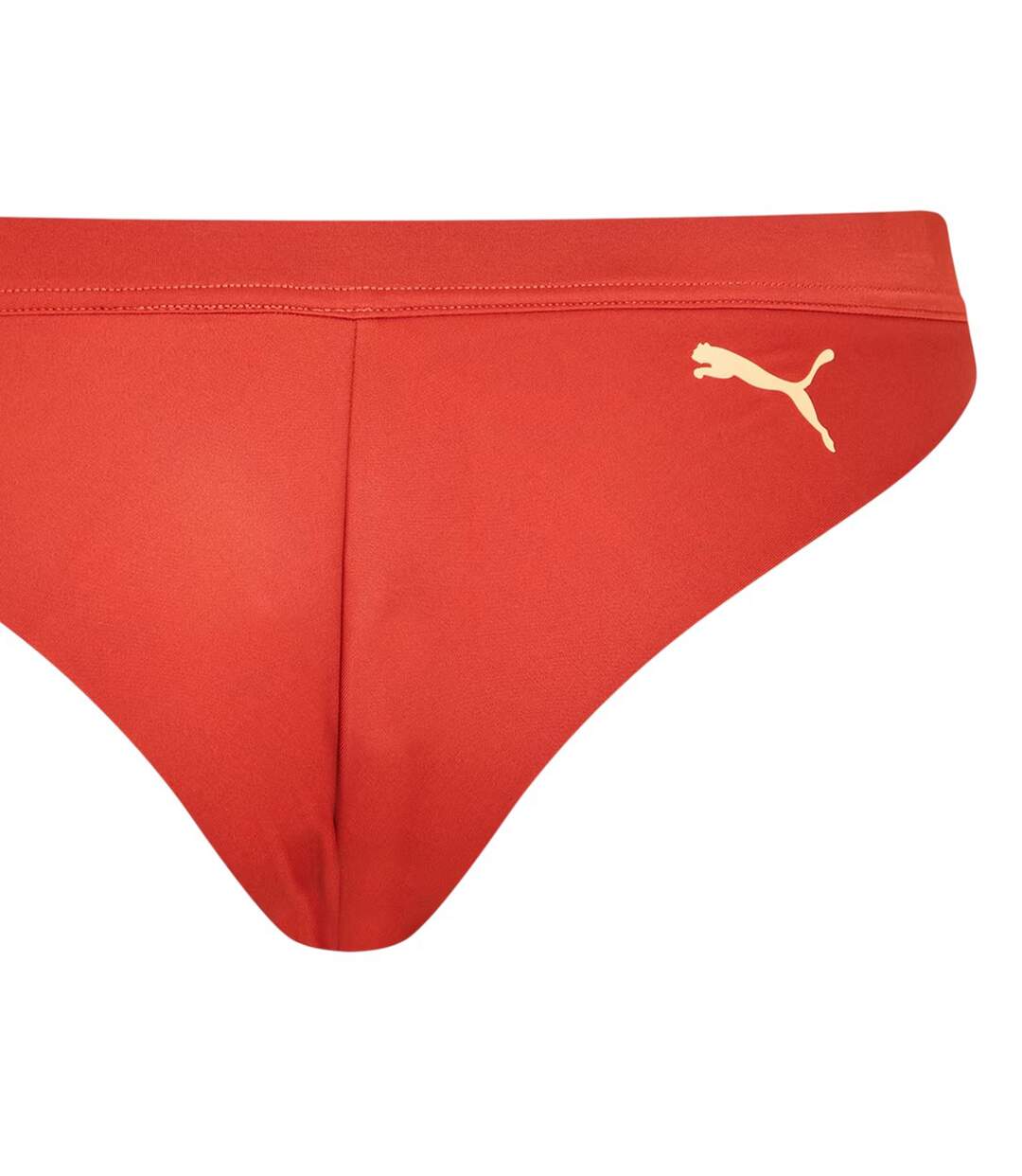 Womens/ladies Sporty Brazil Bikini Bottoms Brown Combo Puma-3