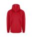 PRO RTX Mens Pro Hoodie (Red)