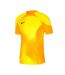 Mens Gardien Iv Goalkeeper Jersey Yellow Nike-1