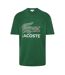 T-shirt Motif/style Imprimé Crocodile Homme Vert Lacoste-2