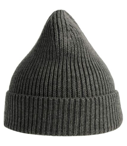 Atlantis Unisex Adult Andy Recycled Polyester Beanie (Dark Grey Melange) - UTAB559