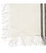 Set de Table Rayé Déco Délice 30x45cm Blanc-2