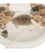 Jardin Zen Déco Wasila 18cm Blanc-2