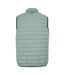 Mens hillpack ii gilet glacier Regatta-2