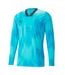 Maillot De Gardien De But Manches Longues Teamtarget Homme Bleu Puma-2