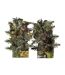 Gants Motif/style Feuille De Chêne Llcs Homme Vert Jack Pyke-2