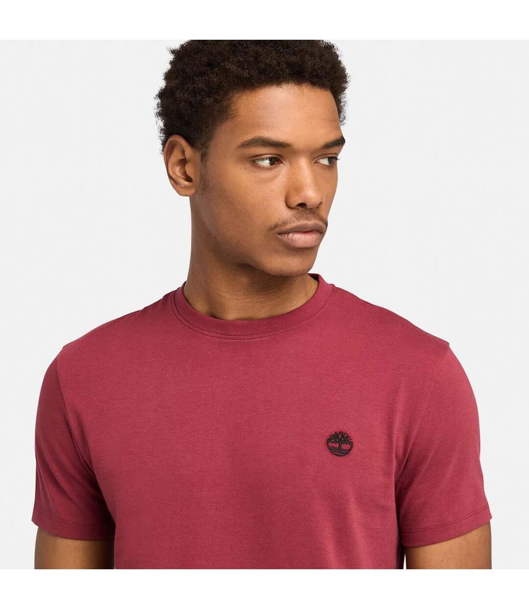 T-shirt Dunstan River Homme Marron Timberland-3