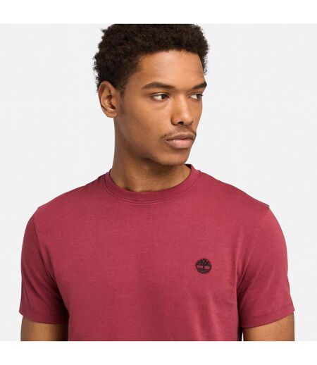 T-shirt Dunstan River Homme Marron Timberland