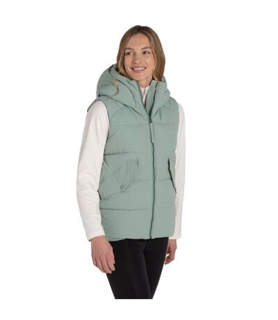 Womens/ladies Andes Waterproof Hooded Gilet Pale Pistachio Craghoppers