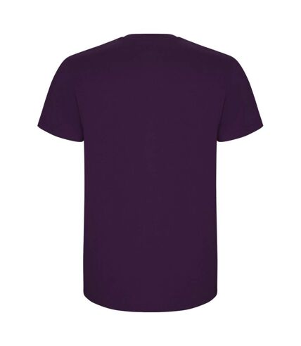 Roly - T-shirt STAFFORD - Homme (Violet) - UTPF4347