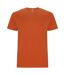 Roly Mens Stafford T-Shirt (Orange) - UTPF4347