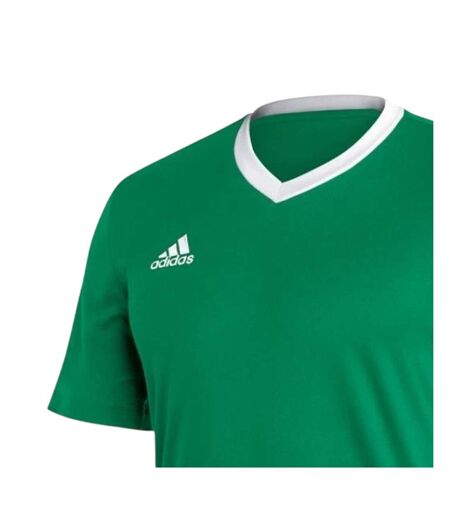T-shirt Entrada Homme Vert Adidas