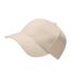 Casquette de baseball pro-style adulte beige gris Beechfield-2