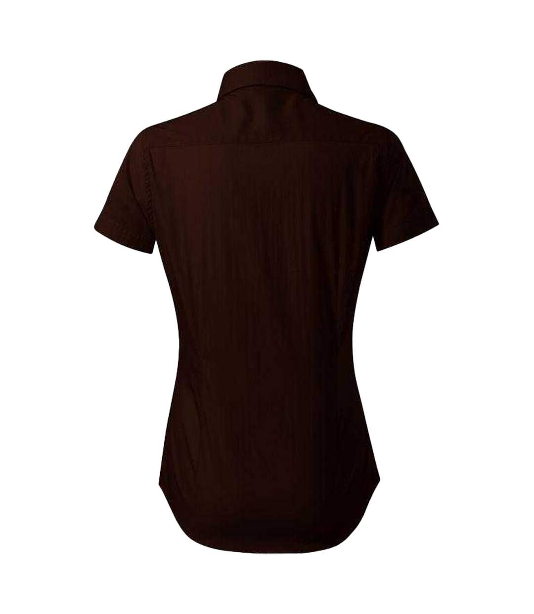 Chemisier Motif/style Éclair Femme Marron Malfini-2