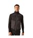 Mens E-volve Stretch Hybrid Body Warmer Ash Black Regatta-2