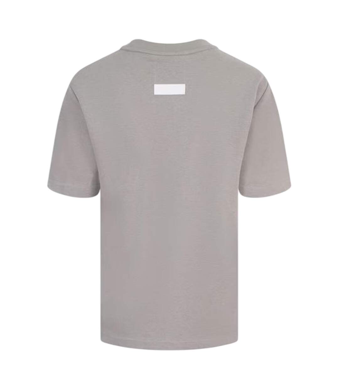 Womens/ladies Oversized Boyfriend T-shirt Alloy Blank Essentials-2