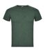 T-shirt fox homme vert bouteille Roly