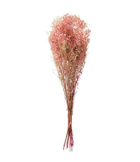 Bouquet de Fleurs Gypsophile Séché 84cm Rose