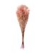 Bouquet de Fleurs Gypsophile Séché 84cm Rose-1
