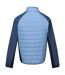 Veste hybride clumber homme bleu / denim sombre Regatta Regatta