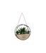 Plantes Artificielles à Suspendre Krist 20cm Naturel-1