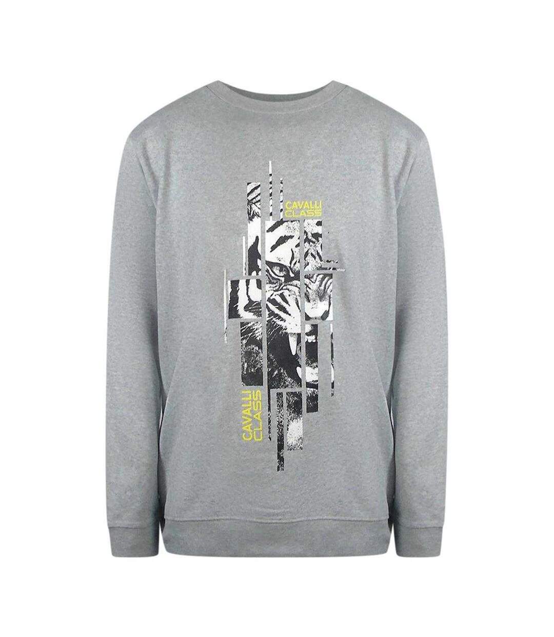 Unisex Adult Splintered Tiger Sweatshirt Graphic Grey Cavalli Class-1