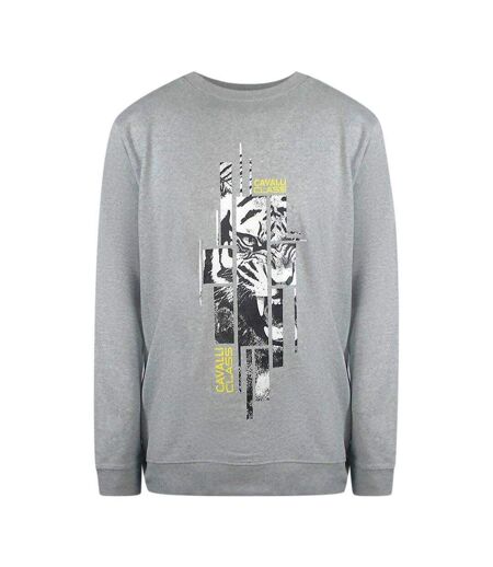 Unisex Adult Splintered Tiger Sweatshirt Graphic Grey Cavalli Class