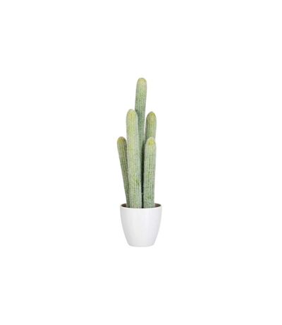 Plante Artificielle Cactus 5 Parties 54cm Vert