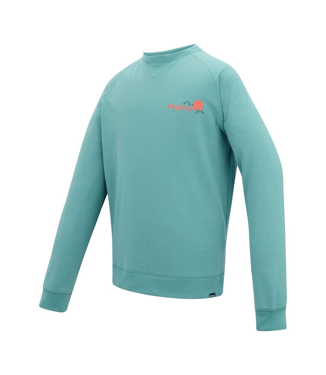 Mens Nithsdale Back Print Sweatshirt Arctic Green Regatta-4
