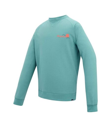Mens Nithsdale Back Print Sweatshirt Arctic Green Regatta