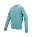 Mens Nithsdale Back Print Sweatshirt Arctic Green Regatta-4