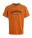 Craghoppers Mens Batley T-Shirt (Potters Clay)