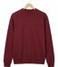 CHALLENGER BULGARE3 — Sweat col rond bordeaux : style raffiné et finitions soignées-2