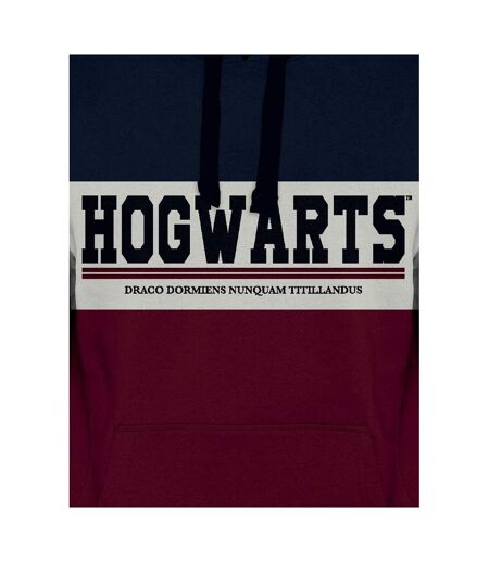 Sweat À Capuche Hogwarts Homme Noir Bordeaux Harry Potter
