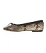 Ballerines Motif/style Imprimé Serpent Blossoms Femme Beige Clair Steve Madden-2