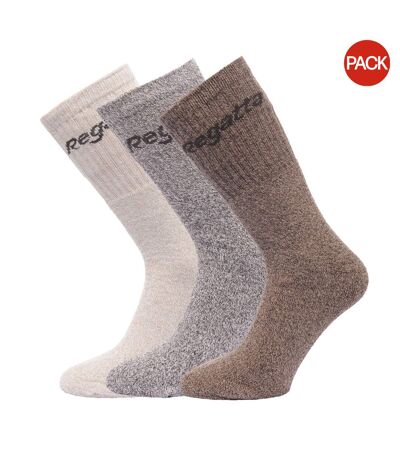 Lot de 3  Chaussettes paires homme marron marne Regatta