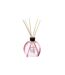 Diffuseur de Parfum & 8 Bâtonnets Haly 200ml Framboise-1