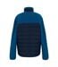 Veste Hybride Frankie Homme Bleu Marine Bleu Plongée Regatta-3