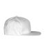 Clique Unisex Adult Street Cap (White)