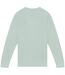 Native Spirit Unisex Adult French Terry Sweatshirt (Washed Jade Green) - UTPC6663