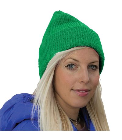 Result Winter Essentials Core Softex Beanie Hat (Celtic Green) - UTRW5165
